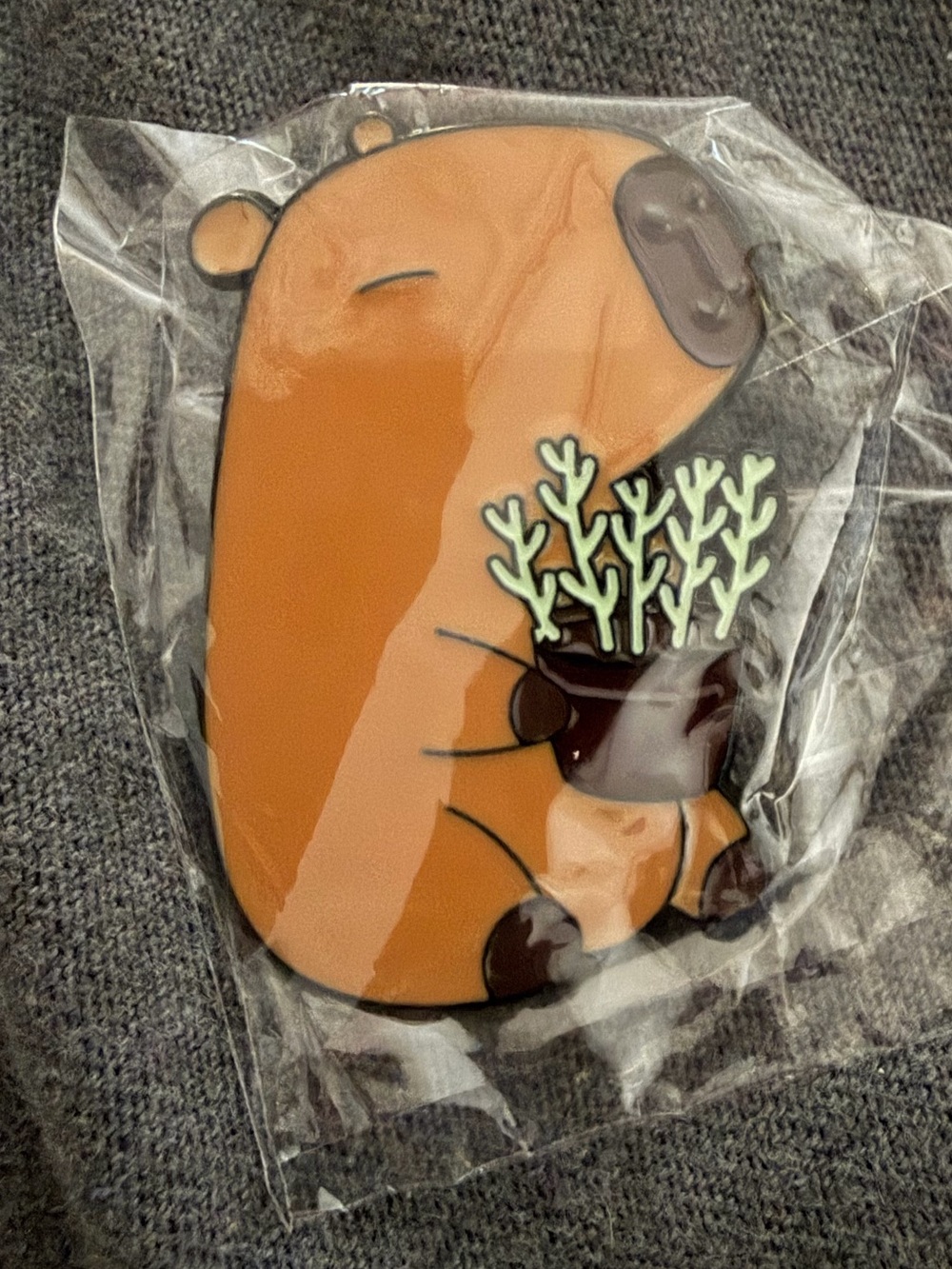 Capybara Enamel Pin